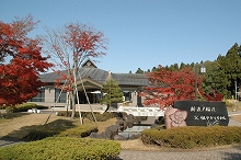 11.jpg(41584 byte)